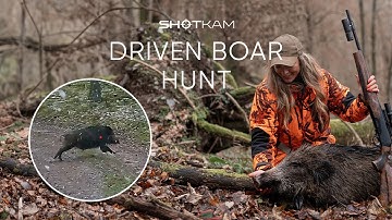 Driven Wild Boar in Europe | Filmed with ShotKam