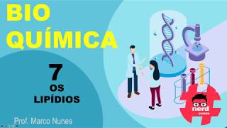 Roteiro 2 (Bioquímica): Aula 7 - Os lipídios (Professor Marco Nunes)