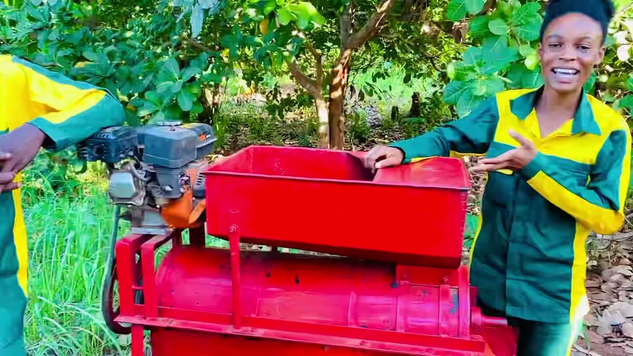 Introducing AgriEase Ltd: Revolutionizing Cashew Farming in Ghana