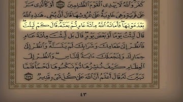 القارئ سعد التوم تلاوة هادئة { واعلم أن الله عزيز حكيم }
