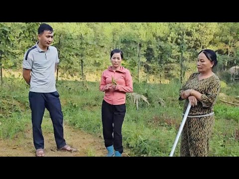 HANG Reminded Her Mother To Remedy The Consequences Of Her Actions