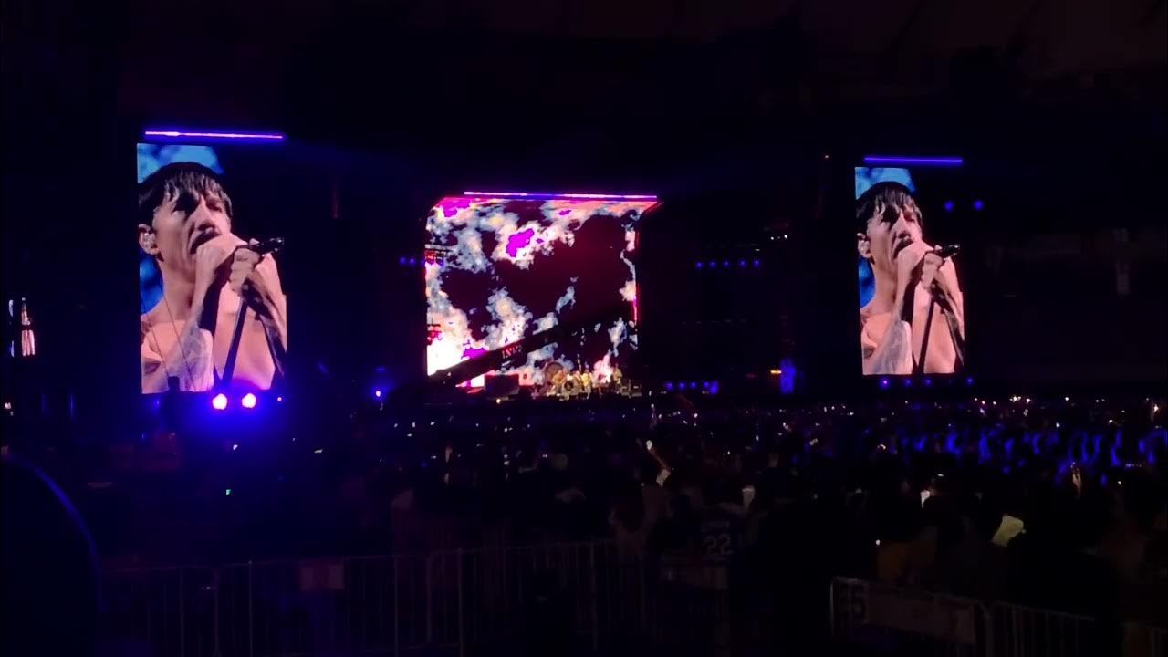 Under the bridge Red hot chili peppers 19/02/2023 Tokyo dome Japan