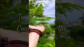 Connection to mother Earth. Connection to the trees. A day in Guam. 2025. #livingtree #treelovers