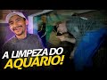 LIMPANDO E REFORMANDO O AQUÁRIO GIGANTE! | A CASA DOS BICHOS