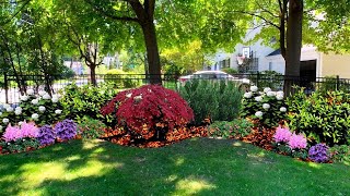 BREATHTAKING 100  BACKYARD SHADE GARDEN LANDSCAPE DESIGN IDEAS | EASY LOW LIGHT UNDER TREES GARDEN