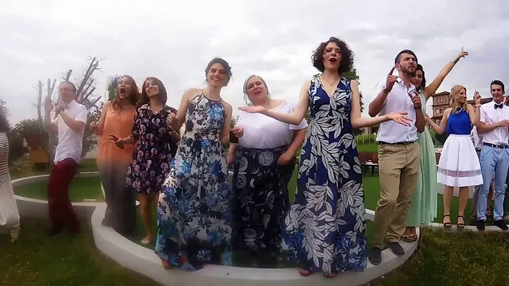 Accidentally in Love - Wedding Lipdub