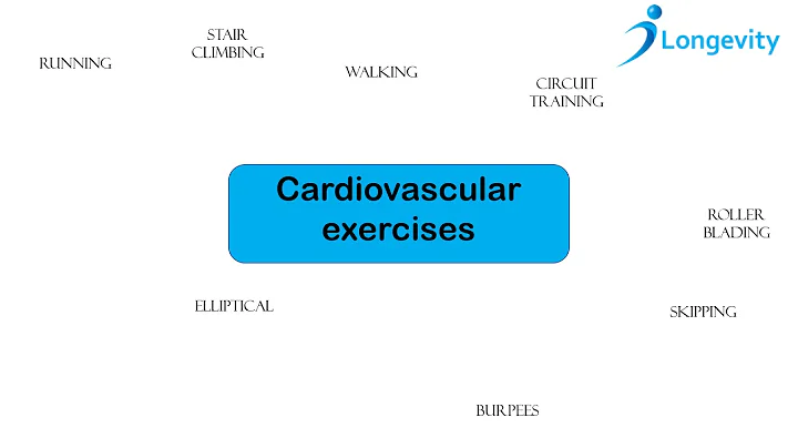 Types of cardiovascular exercises