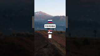 Учим сербский каждый день. Упражнения и викторины на сербском языке