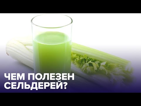 Чем полезен СЕЛЬДЕРЕЙ и как похудеть с его помощью?