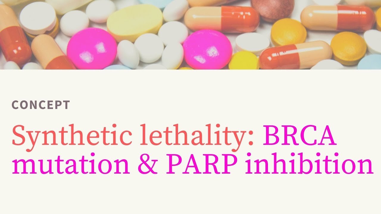 💊 SYNTHETIC LETHALITY: Targeting PARP Inhibition in BRCA1 and BRCA2 ...