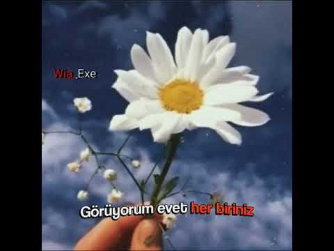 Zehra - Müsadenle