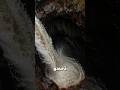 Una dintre cele mai ciudate cascade din lume #curiozitati #documentar