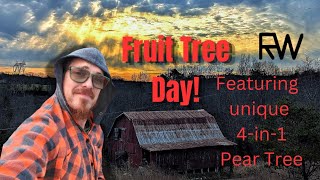 4 in 1 Pear Tree? Fruit Tree day at Firewind Wildlife Refuge 