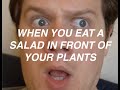 When you eat a salad in front of your plants