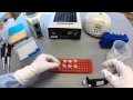 Protocol 1 - DNA Extraction Part 1