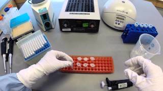 DNA Extraction Protocol  Part 1