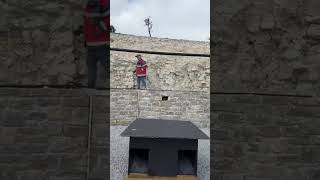 Making the Lives of My Senior Dogs Much Better! - Takis Shelter