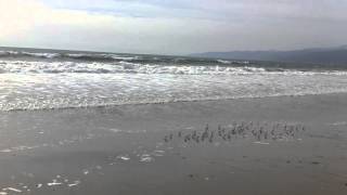 String Quartet No. 1-Soussy