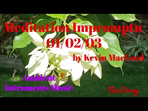 MEDITATION IMPROMPTU 01 02 03 By Kevin MacLeod