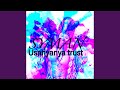 Usanyanya Trust