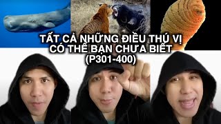 TẤT CẢ Những Điều Thú Vị Có Thể Bạn Chưa Biết (Phần 301-400)