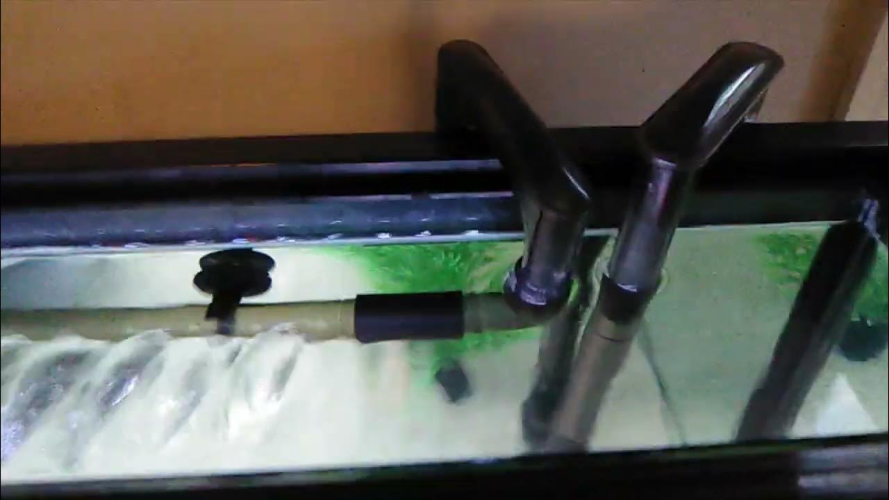 Is your canister filter spray bar whistling? YouTube