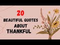 Beautiful thankfulblessed quotes and sayings simply lyn15