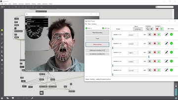 Plyaing sound according to facial expression [openFrameworks + wekinator + Max MSP]