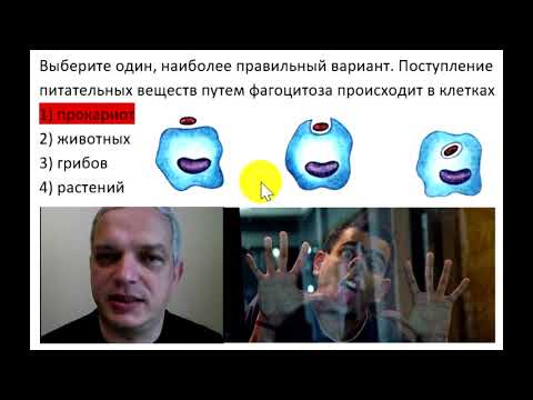 Видео-объяснение для Биоробота