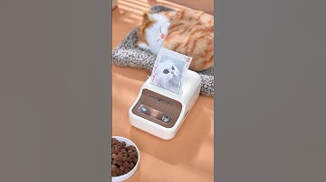 Print and preserve your pet