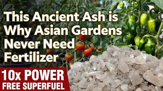 This Ancient Ash is FREE and 10x Better Than Store-Bought Fertilizer (Potassium Powerhouse)