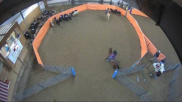 Big Sky Ranch Sorting Saddle Series #2 - #8 Ranch Hand H/C - Round #2 - Ride #4