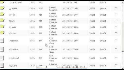 Using File Manager in Direct Admin