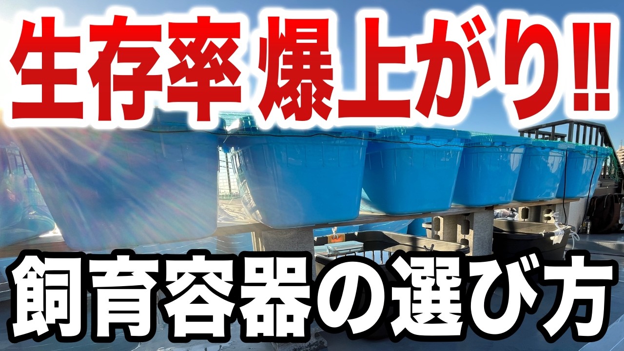 メダカの飼育できる匹数の目安とめだか飼育容器の選び方 - YouTube