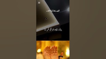 اللهم بلغنا ليلة القدر ..سورة القدر #قران_كريم  #اكسبلور #رمضانمبارك