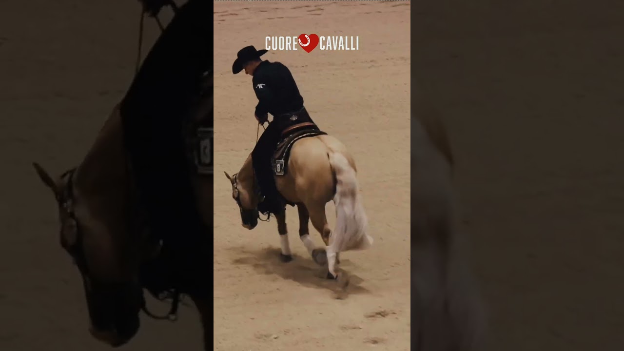 Arnaud Girinon and Flexing Guns N Town 2025 Champions at The Run For A Million