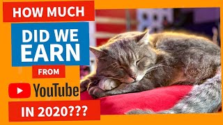 Happy New Year And A THANKYOU From Us and The Cat | How Much YouTube Earned Us & BIG PLANS For 2021
