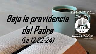 Bajo la providencia del Padre | 2/may/2024