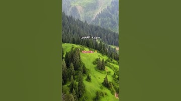 #العصر #قرآن #تلاوة_خاشعة #راحة_نفسية #ماشاءالله #egzonibrahimi #quran #اكسبلور #المصحف #quran