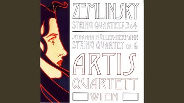 String Quartet No. 4, Op. 25: III. Adagietto