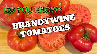 5 Facts about Brandywine Tomatoes you didn't know
