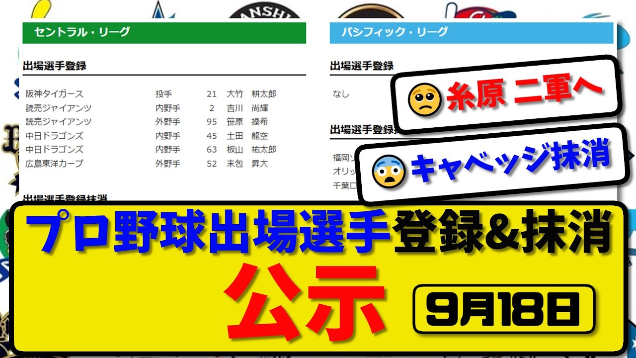 活動歴および当時の関連ビジュアル記録