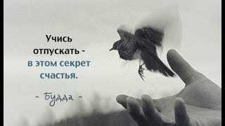 GS959 Книги, вещи, кошки... неужели всё бросить. GS959 Книги, вещи, кошки... неужели всё бросить.