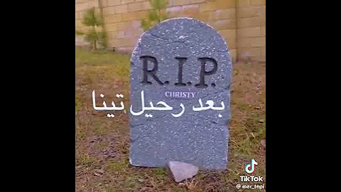 تيم تين 