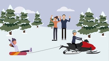 Robinson v. Lindsay Case Brief Summary | Law Case Explained