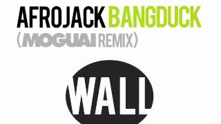 AFROJACK - Bangduck (Moguai remix)