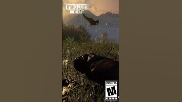 Enjoy breathtaking views of Castor Woods!  #dyinglightthebeast