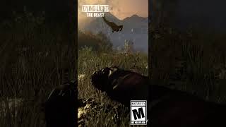 Enjoy breathtaking views of Castor Woods!  #dyinglightthebeast