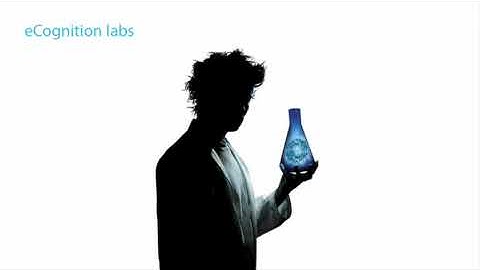 eCognition 8: 3D Image Analysis