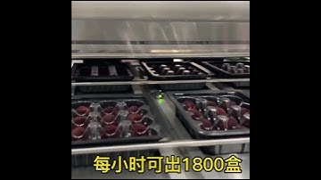 Semi-automatic modified atmosphere packaging production line, OEM Manufacturer, Good Price, DQ580SAT